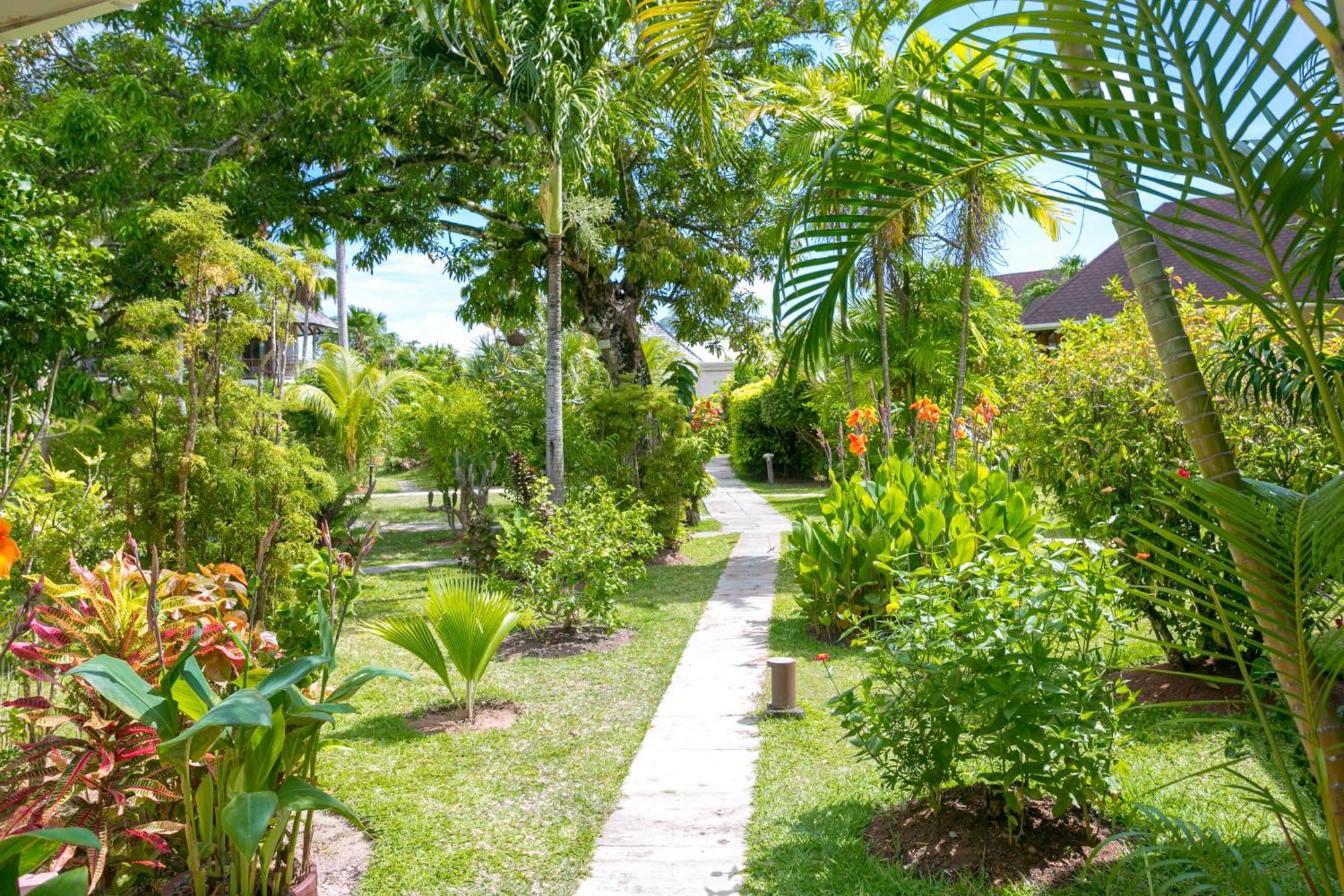 Les Lauriers Eco Hotel Anse Volbert Village 외부 사진